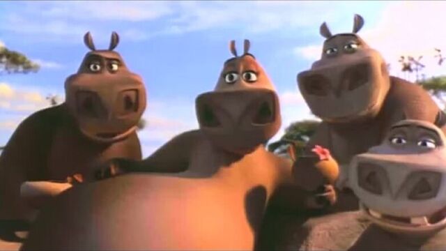 Песенка бегемота мото-мото (мадагаскар)