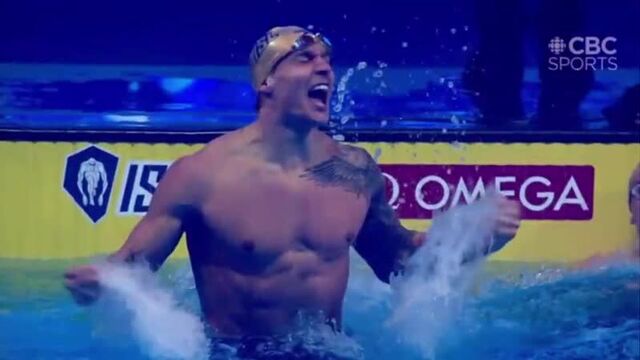 Isl 2020. снова мировой рекорд! акула плавания - калеб дрессел. 49.28 на 100 м к