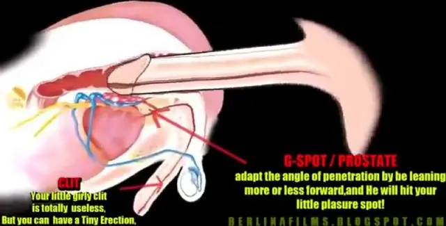 Порно видео инструкция точка g