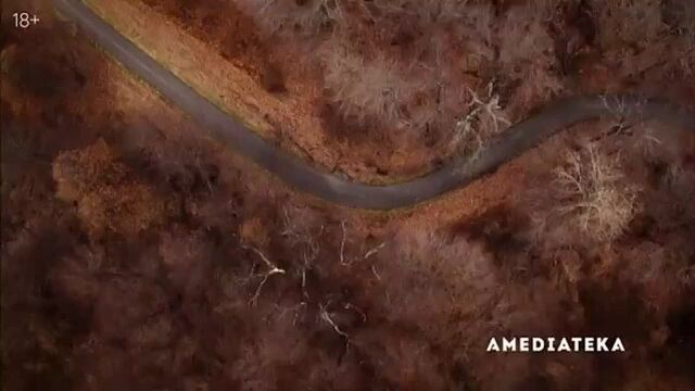 Video by мейр из исттауна / mare of easttown