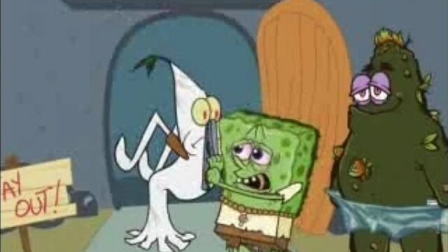 Гупка боб (дикая породия)