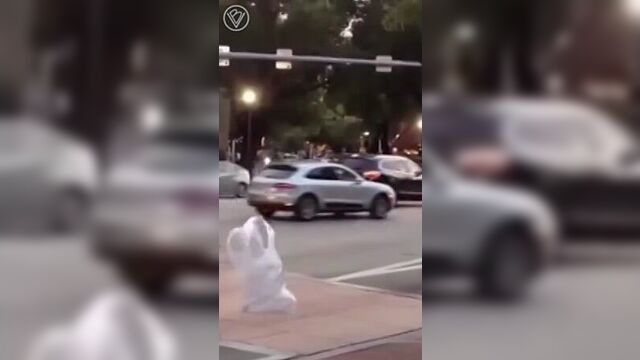 Пакет-бродяга