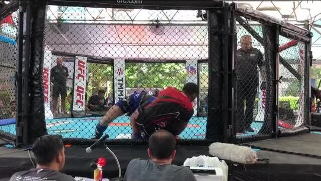 Чемпионат азии по мма в бангкоке (4)