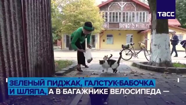 Знакомьтесь - котошеф!