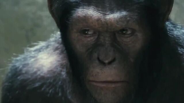 Dream [ смешное видео , видео прикол, до слёз , приколы , скачать, смех , смеяться , ржака, русcкие, russian, ержан, обезьяна ]