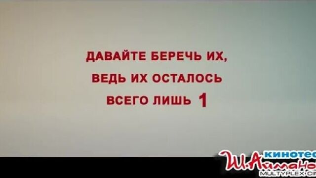 Инстаграмщица | с 28 июня в кинотеатре имени шакена айманова