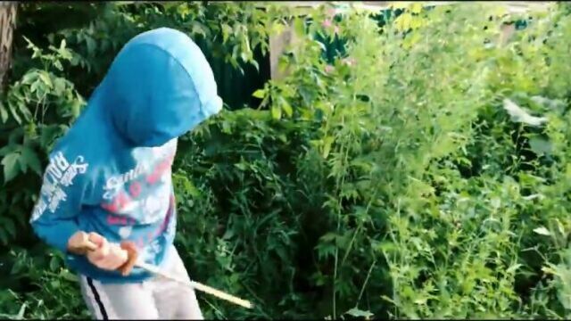 Нёрф война на русском; фильм "ассасин - спасение";