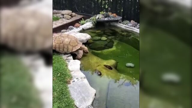 Сура 109, аль-кафирун (неверующие)