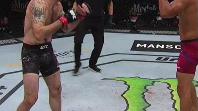 Мигель баеза - мэтт браун