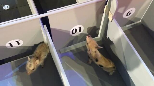 Удивительные люди? сезон 3, выпуск 8