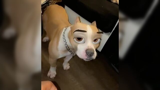 Мультяшный пёс