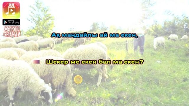 Қошақаным қайда екен балаларға караоке