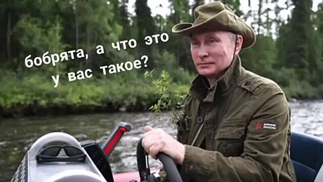 Вова заскамил бобришек