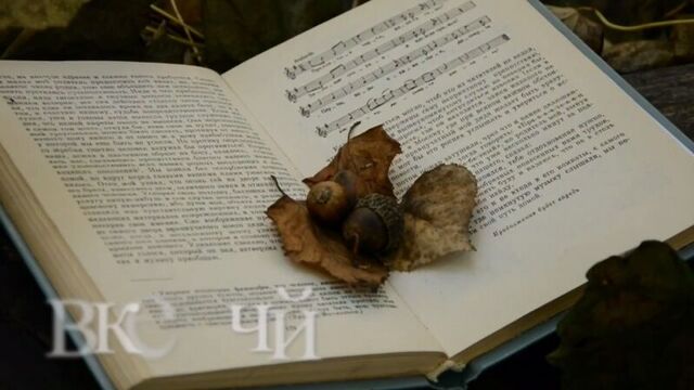 Конкурс_британского_совета. уильям шекспир (сонет сххх)