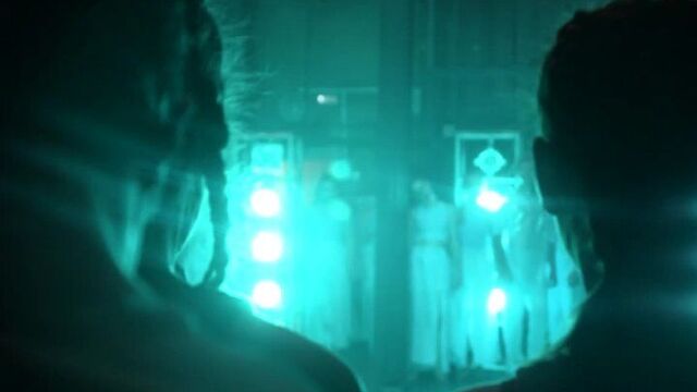 Студвесна ффж | "синдбад"