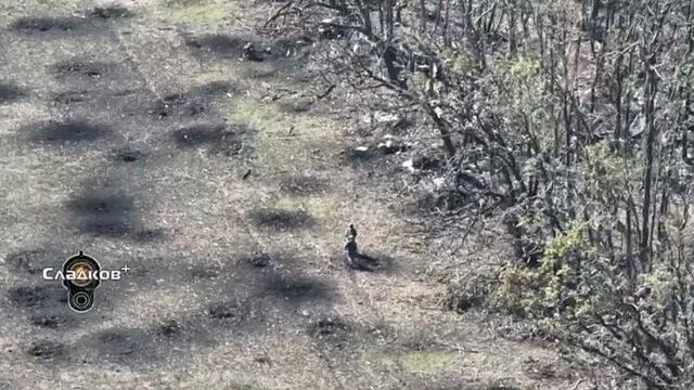 Русская пехота штурмует позиции всу под марьинкой.