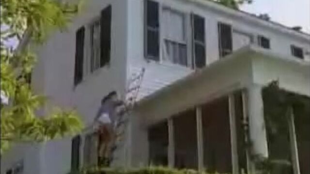 Бухта доусона