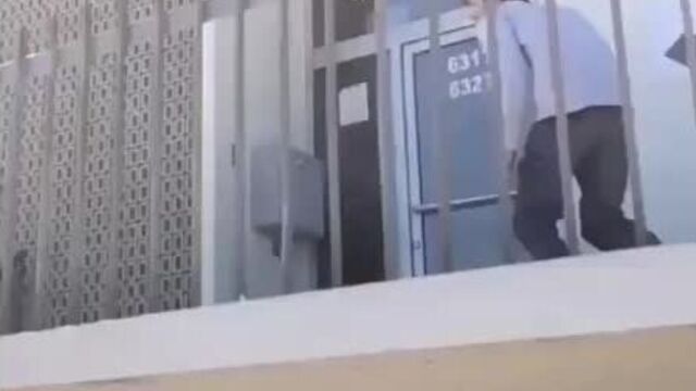 Пики точеные