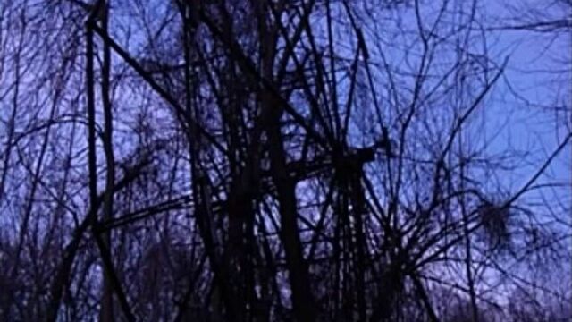 Чиппева лэйк парк, онтарио, сша