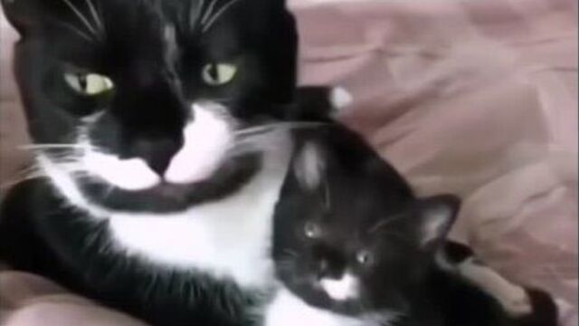 Мамина деточка 