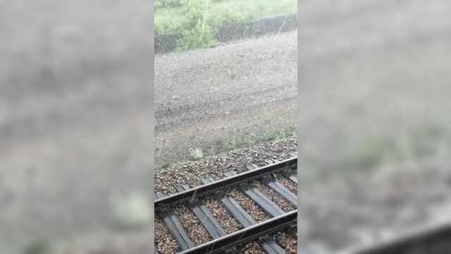 Град. борзя. 30.07.22