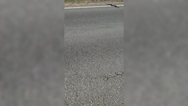 Инцидент рубцовск .mp4