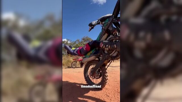 Пресс качат, анжуманя, бегит