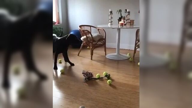 Поздравил с днем рождения gjplhfdbk c lytv hj;ltybz