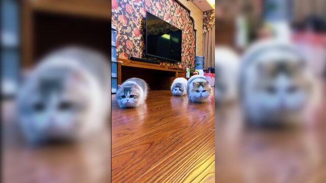 Video by империя суши | туймазы: роллы пицца доставка