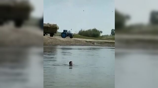 Синий трактор едет к нам