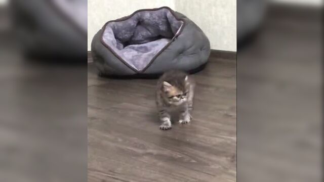 Танцы в трусиках.