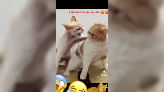 Video by «пошлые подкаты»пикчики/краш/кринж/мемы