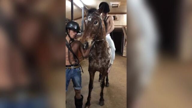 Конники сняли satisfaction