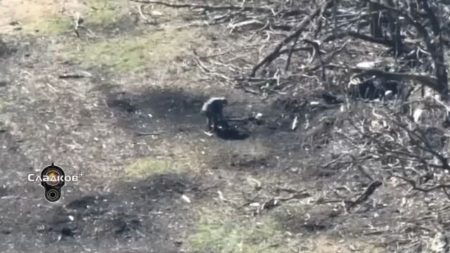 Пехота 42-й дивизии штурмует позиции всу под марьинкой