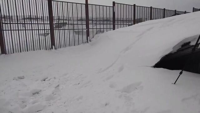 После пурги. как серега искал трактор (vhs video)