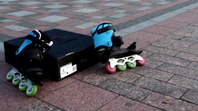 Ролики-скелетоны powerslide doop