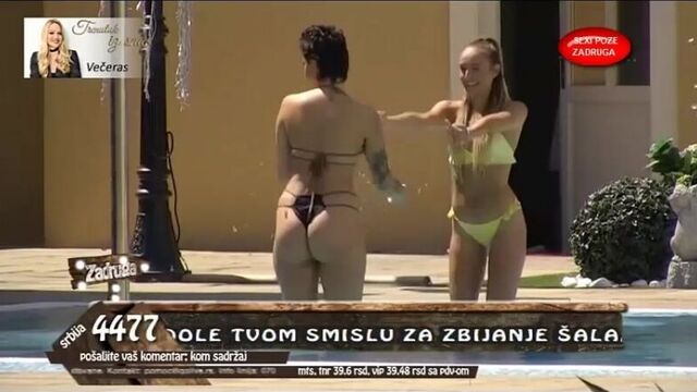 Sexi pozerke - zadruga