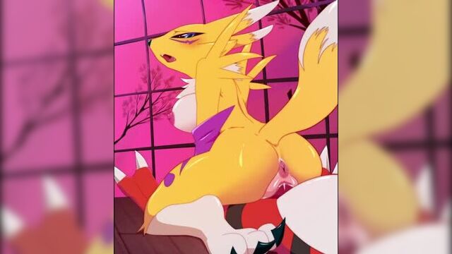 2d yiff by ploxy animation furry porn sex straight e621 fye r34 rule34 pokemon digimon renamon