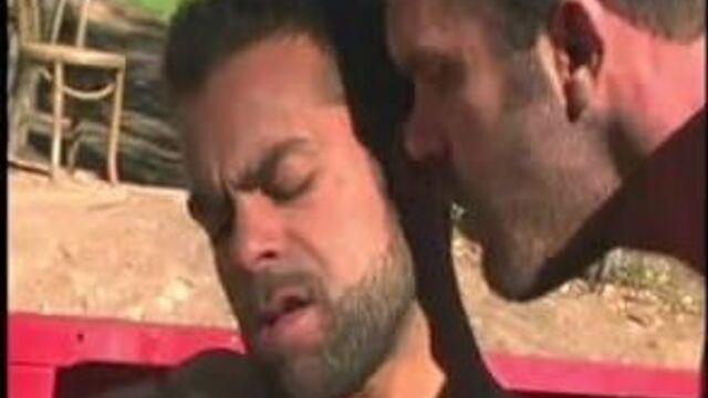 We bare bears (fuck edition)