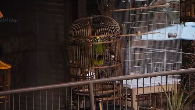 Riki lindhome - under the silver lake 2018