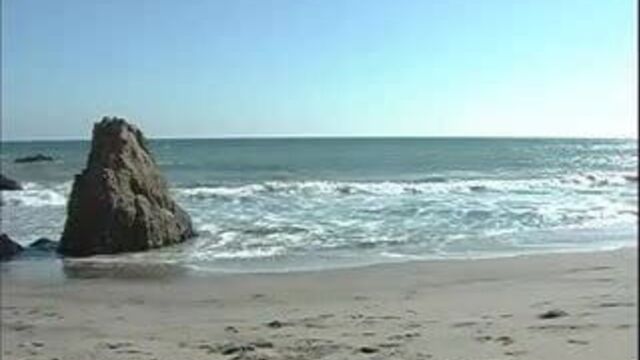 Mia rose - whorecraft - elf sex