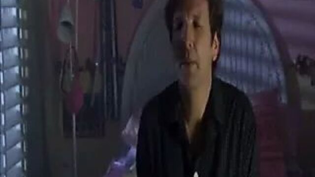 Elisha cuthbert - the quiet