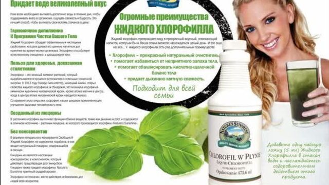 Жидкий хлорофилл нсп мнение врача