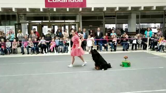 Алёна и бард 6.04