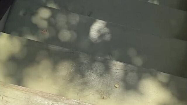 Джеймс маслоу 0709