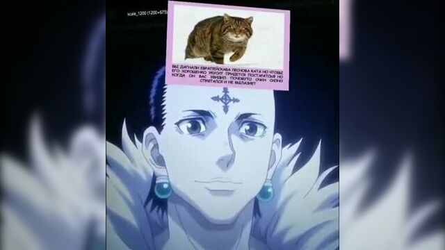 Хисока и куроро дорвались до инстаграма