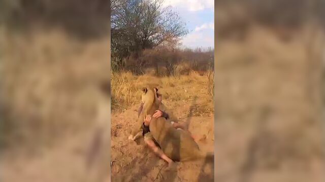 Она его помнит!