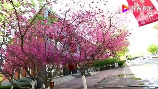 Китайский колледж 天津职业大学