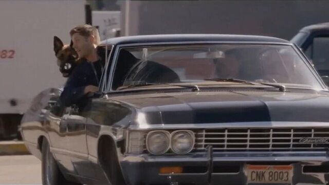 Сверхъестественное 9 сезон 5 серия (смешные моменты)