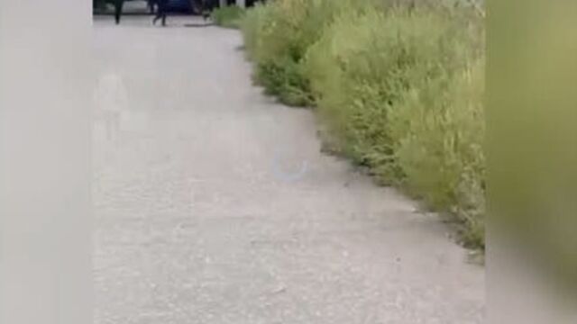 Video by тревожный донецк